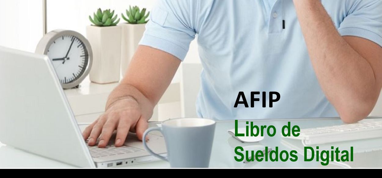 Solicitudes de FACPCE a la AFIP- LIBRO DE SUELDOS DIGITAL