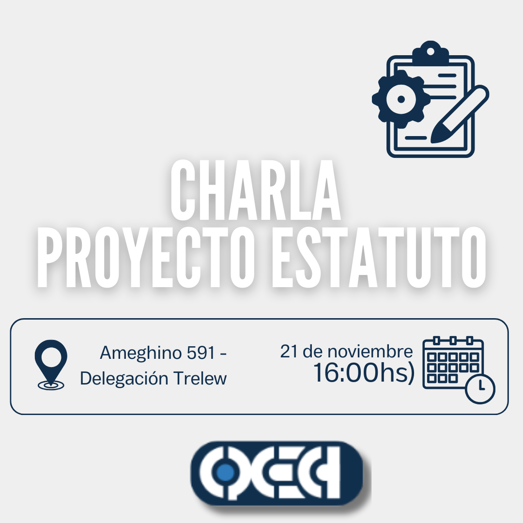 CHARLA PROYECTO ESTATUTO